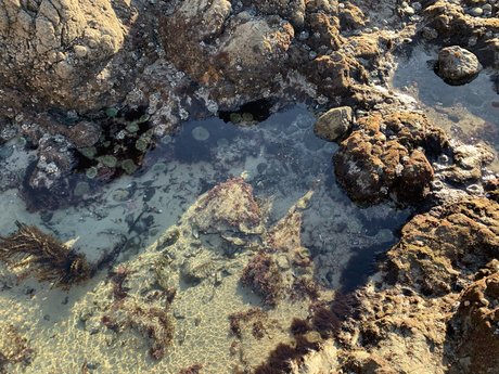 Chad Man star du porno parfaite des photos