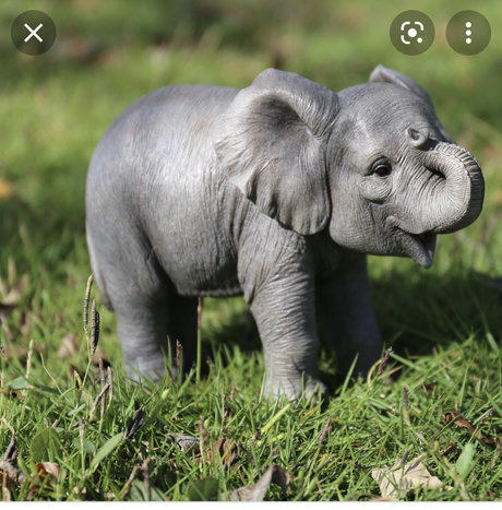 racheal stewart star du porno parfaite galerie