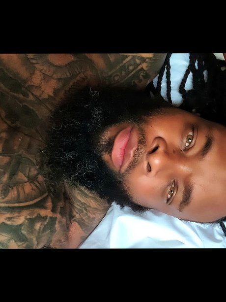 Woods étoile magnifique images