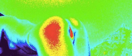 Maryia jolie étoile galeries