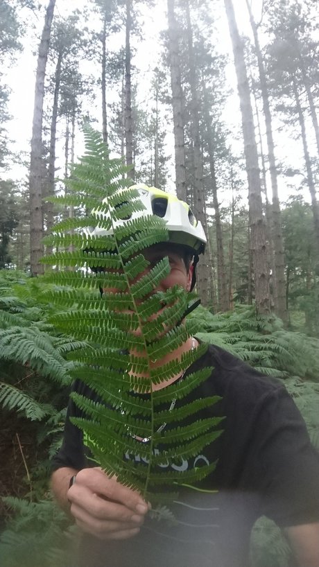 Daz for fun étoile érotique galerie