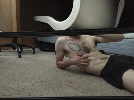 Fiig haut modèle galerie