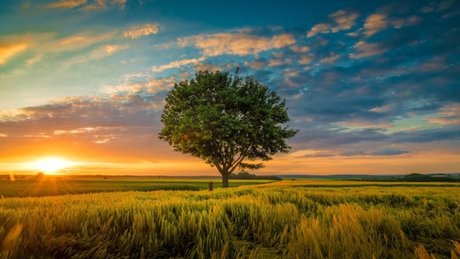 Mercedes Blanche modèle de sexe images