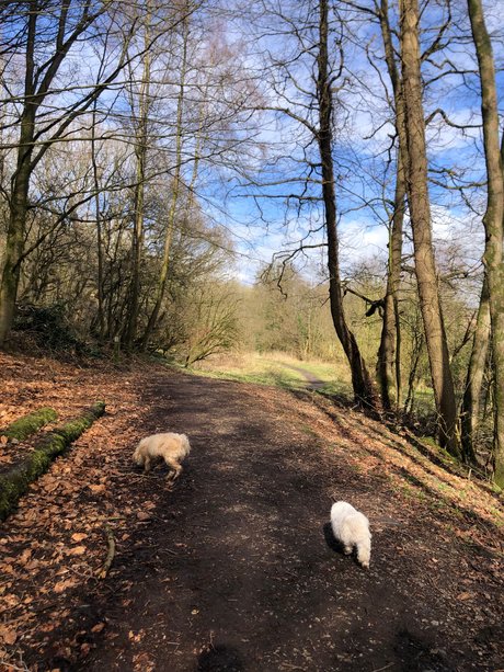 Sweet candy_ actrice porno image