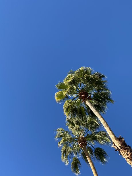 Tommy Cangiamila star du porno gratuit galerie