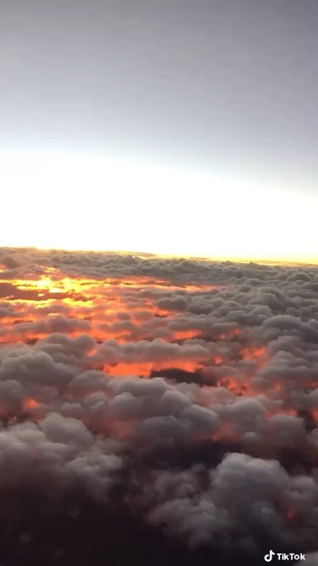 fans de grandes filles uniquement érotique en haute qualité galeries