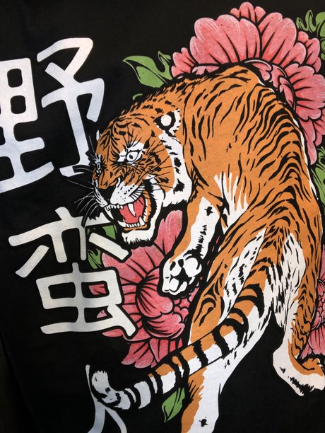 Rookmanful star du porno chaude collection