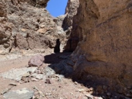 Stuart meilleure étoile photos