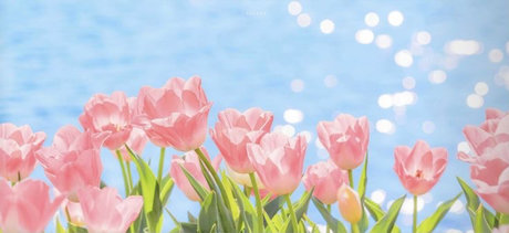 hol_ meilleure actrice galeries