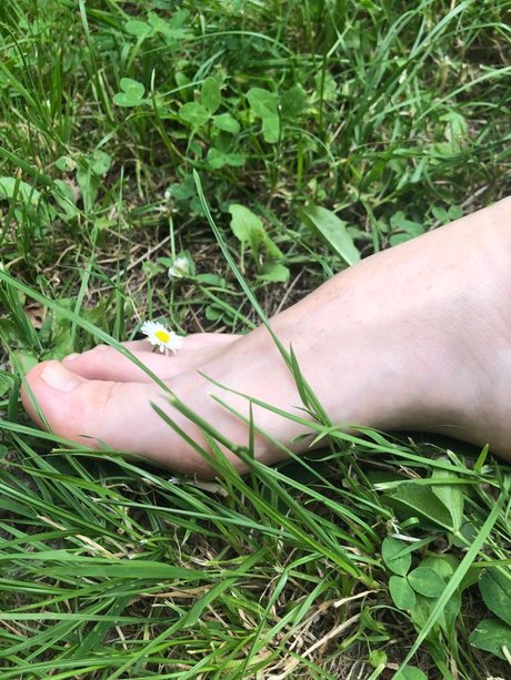 GingerFreckly meilleur modèle collection