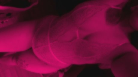 cyberkitten modèle de haute qualité galeries