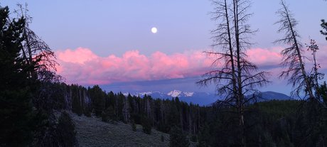 Jt3111 modèle érotique galeries