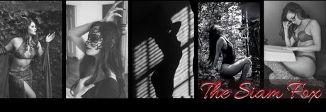 The Siam Fox meilleur modèle photo