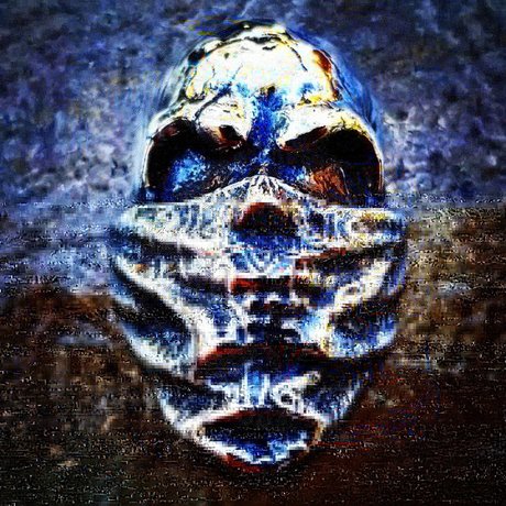 Pit Bullion star du porno belle photo