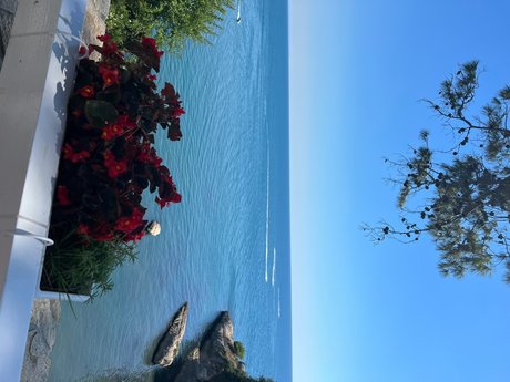 Amber Love xxx star du porno img