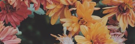 Abdul El Sahili_ art étoile images