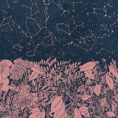 NastyNaav modèle archive