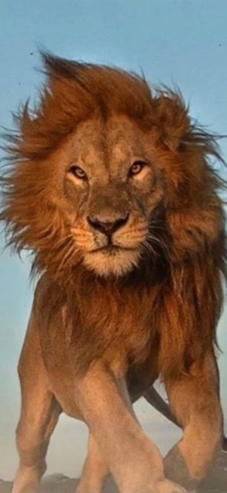 Lionel77 mannequin photo