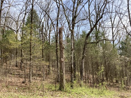 Top of the Ozarks modèle nu image