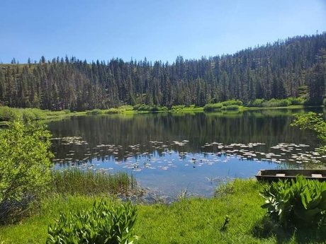 Brandi Benz belle étoile images