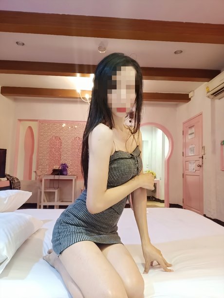 cotton étoile xxx images