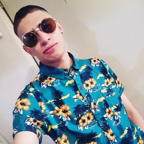 Soneck art star du porno img