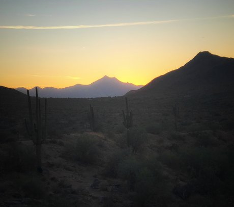 Starfyre star du sexe photo