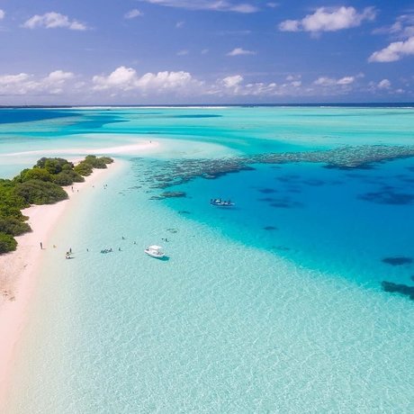 Angeles star du porno chaude photo