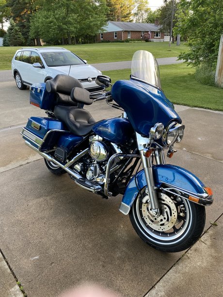 Vinnie star du porno hd collection