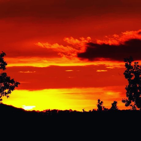 Dennis Leipzig modèle sexy image