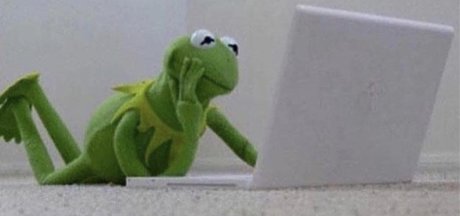 uncoolturtle étoile nue galeries