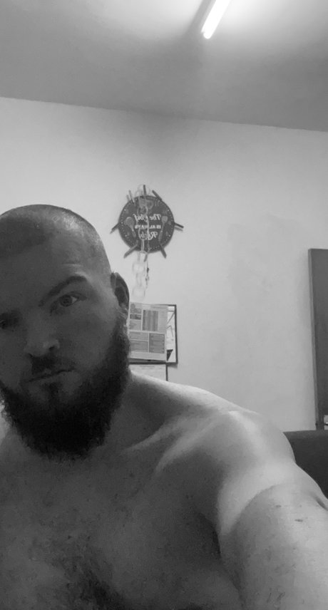 Fluffy Wookie modèle joli images