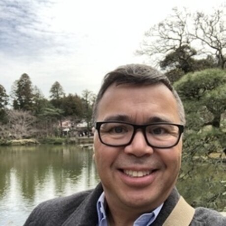 Fly Wills modèle joli galeries