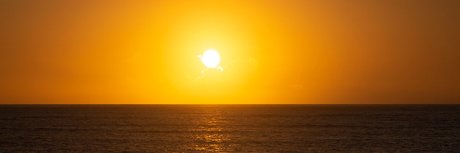 _sergio photo66 star du porno exclusive photo