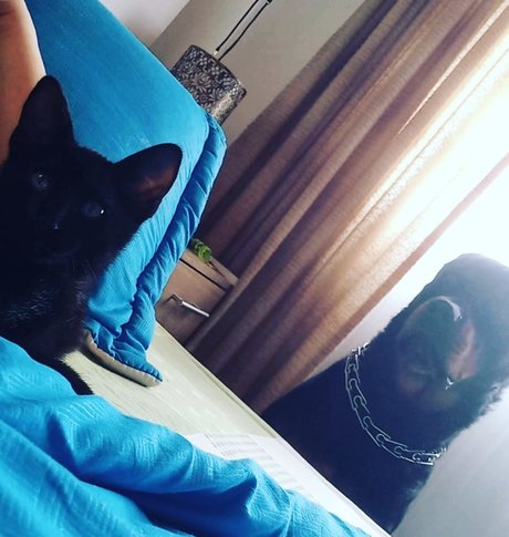 Dadney moreno actrice adulte img