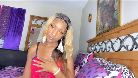 Nee nee jolie étoile image