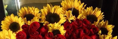 Goldenhoney actrice parfaite archive