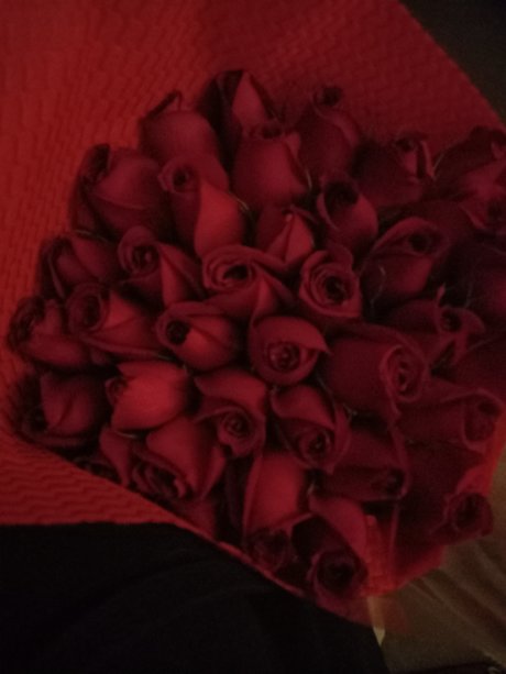 Lauh 11 belle étoile images