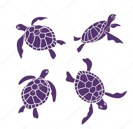 Riley Redding étoile adulte img