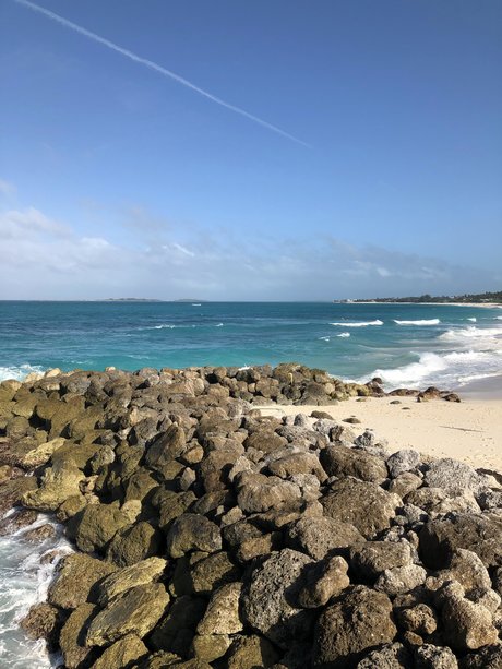 Robert Banks_ étoile parfaite galerie