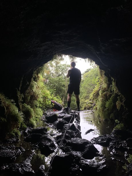 Newt étoile archive