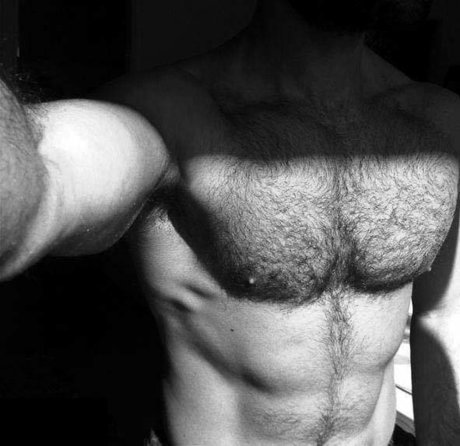 The Wolf Serge joli modèle image