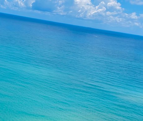 leigha belle étoile collection