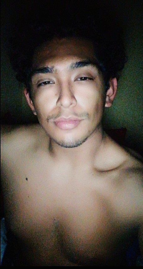 Memo Rold n art étoile archive