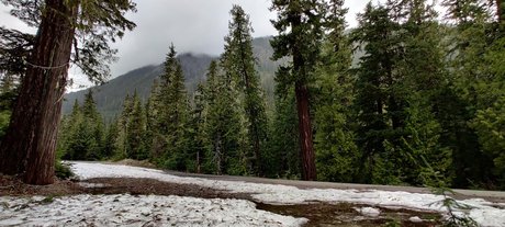 Divine Goddess PNW actrice de sexe img