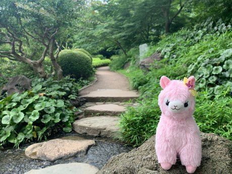 gros cul anal onlyfans sexe xxx des photos