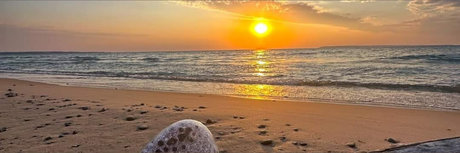 Trans witch sexe star des photos