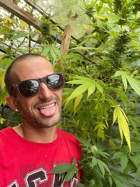 PAC MAN star du porno exclusive image