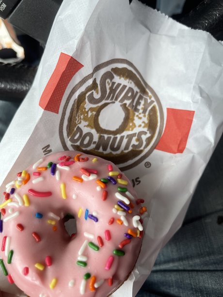 Bob Terwillicker meilleur modèle images