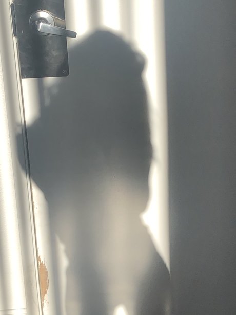 Pumbies_ étoile de haute qualité img